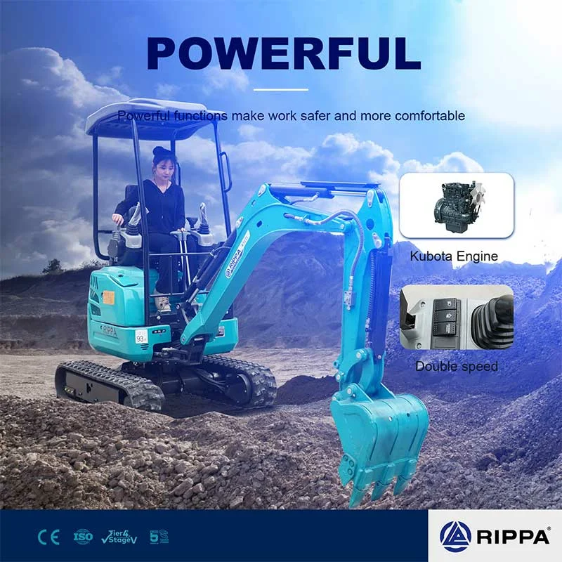 Buying Excavators Direct from the Factory: How Dealers Save More with Rippa